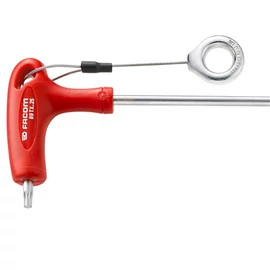 Műanyag T markolatú Torx