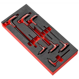 T-markolatú Torx kulcs modul szivacsos